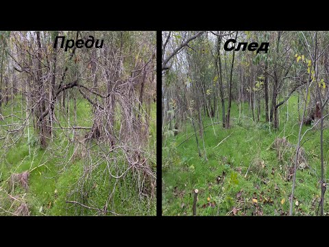 Видео: Подготвяме DH трасето плюс байк чек!