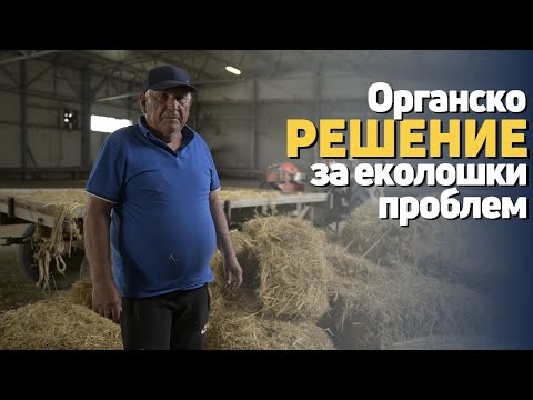 Видео: Пречистителната станица за отпадни води во Кочани гради зелен пример