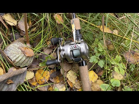 Видео: Дикая река, холодная вода, осенняя форель