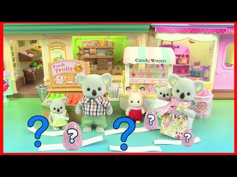 Видео: Розыгрыш Имён для Новой Семьи  Сильваниан Фэмилис 71 серия Kikityki