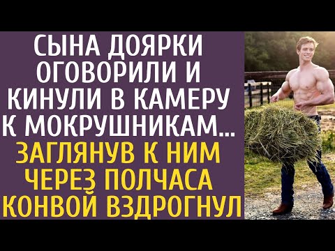 Видео: Сына доярки оговорили и кинули в камеру к мокрушникам… Заглянув к ним через полчаса конвой вздрогнул
