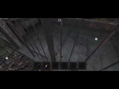 Видео: 1 ноября 2025 г.