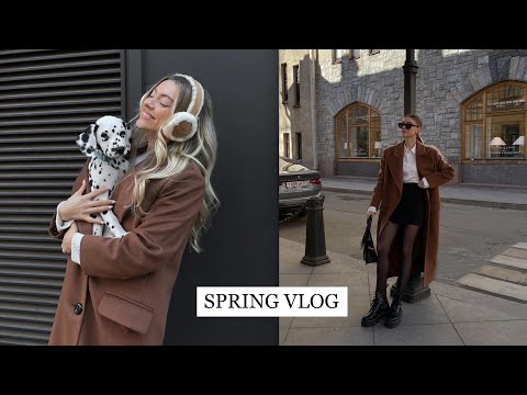 Видео: Бьюти советы, праздник с друзьями, blogger’s sale