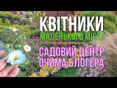 Видео: Новий садовий центр - огляд та ціни😍 Осінні клумби в місті Самар: злаки в композиціях🍁