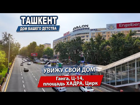 Видео: ГАНГА. Ц-14. ХАДРА. ЦИРК. ЧТО ПРОИСХОДИТ В ТАШКЕНТЕ?  #узбекистан #ташкент #сегодня #news