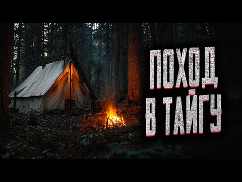 Видео: ДВЕ СТРАШНЫЕ ИСТОРИИ ИЗ НЕДР ТАЙГИ! Страшные истории на ночь. Мистика. Страшилки на ночь.