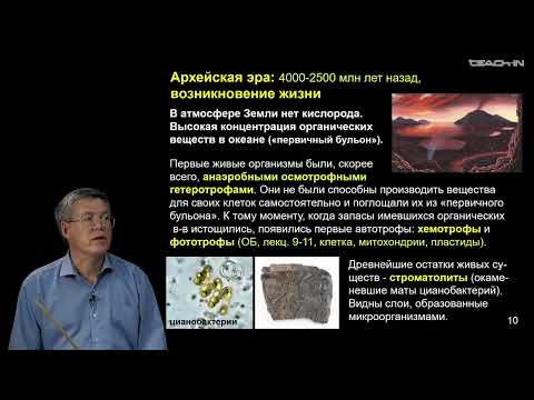 Видео: Дубынин В.А. - 100 часов школьной биологии - 2.28. Возникновение жизни. Эры и периоды