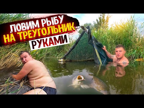 Видео: ЛОВИМ РЫБУ НА ТРЕУГОЛЬНИК! ЛОВИМ РЫБУ РУКАМИ! НАШЛИ ЦИПЛЯТ  ФАЗАНА! ВАРИМ УХУ!
