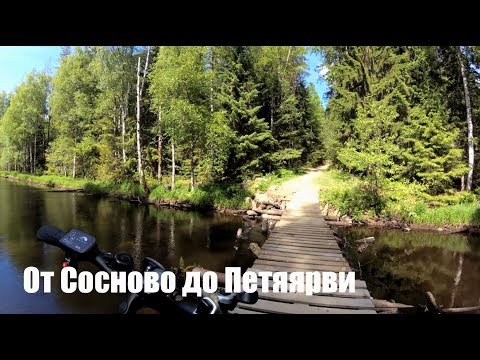 Видео: Велопрогулка: От Сосново до Петяярви. Река Волчья. Озеро Лебяжье