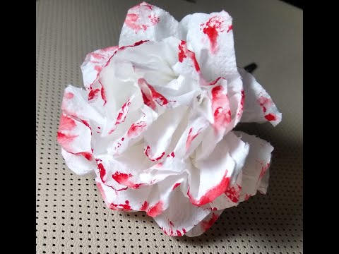 Видео: Цвете от тоалетната хартия! Как да си направим сами?Toilet paper flower! How to make a flower?