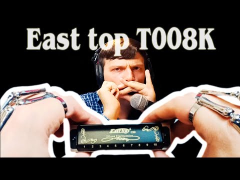 Видео: Обзор губной гармоники East top T008K