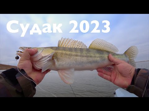 Видео: Судак 2023 ! Открытие сезона! Силикон против Мандул!