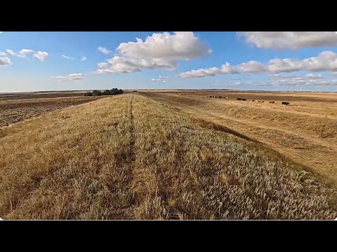 Видео: Аксан-Темир-Индек.