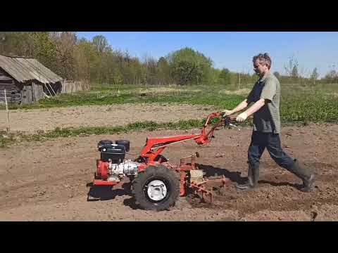 Видео: Мотоблок МТЗ Беларус с бороной-культиватором 30.04.2023 готовим участок к посадке картофеля!