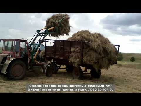 Видео: погрузка сена самодельным куном на тракторе Т-16.