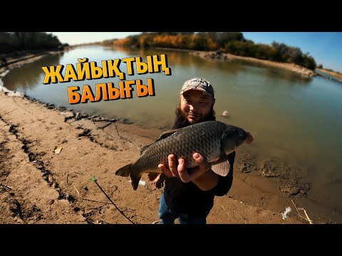 Видео: Жайық өзенінен балық аулап, бауырлармен жақсы демалдық. 
