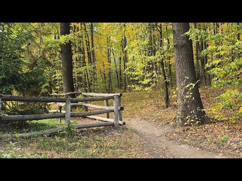 Видео: 🍁Осень в Бабаях 🍁 Прогулка по парку Сковороды 🍂