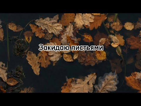 Видео: Текст песни Житность — Хиточек (маты)