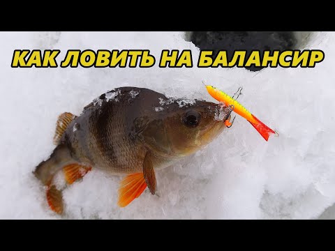Видео: Как ловить на балансир