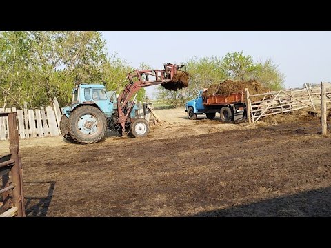 Видео: Қи шығару