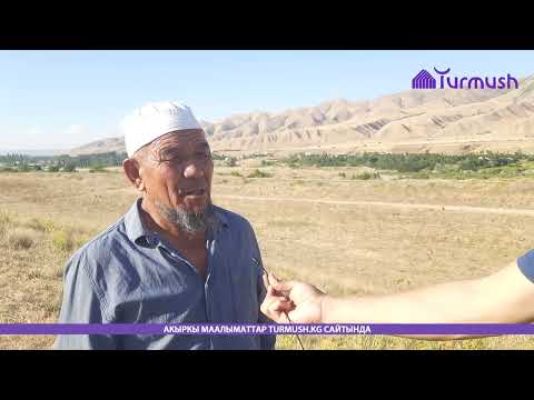 Видео: «1000 чек сатылган». Жаңы-Арыктагы мыйзамсыз сатылган деген жерлер