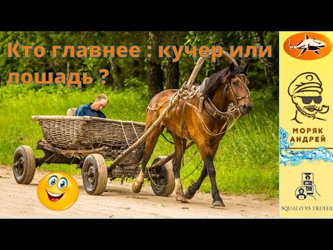 Видео: Телефонное мошенничество . Автор - моряк Андрей.