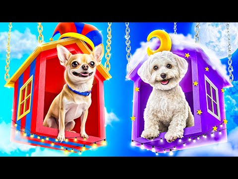 Видео: Помни vs КетНеп строят секретный домик для животных! Poppy Playtime Chapter 3!