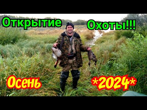 Видео: Открытие Охоты | Осень 2024 | Открытие от А до Я