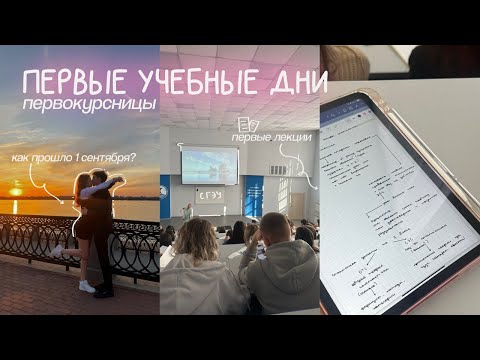 Видео: ПЕРВЫЕ УЧЕБНЫЕ ДНИ на 1 курсе 📝✨