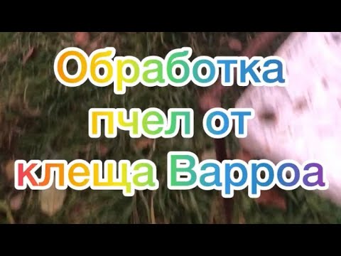 Видео: Клещ в Сибири не дремлет!