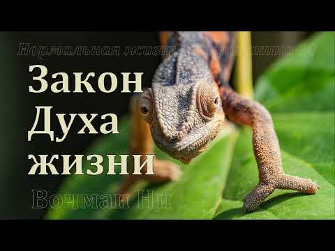 Видео: "Закон Духа жизни"  Вочман Ни