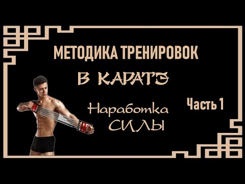 Видео: Методика тренировок в каратэ. Наработка силы Часть 1