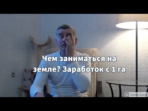 Видео: Чем заниматься на земле? Заработок с 1 га