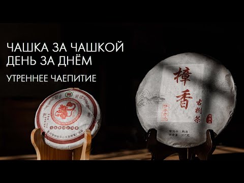 Видео: Выбираем Шу Пуэр на Каждый День | Art of Tea, китайский чай