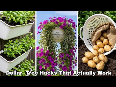 Видео: Я попробовал 10 вирусных лайфхаков с растениями Dollar Tree, которые действительно работают🌱🔥