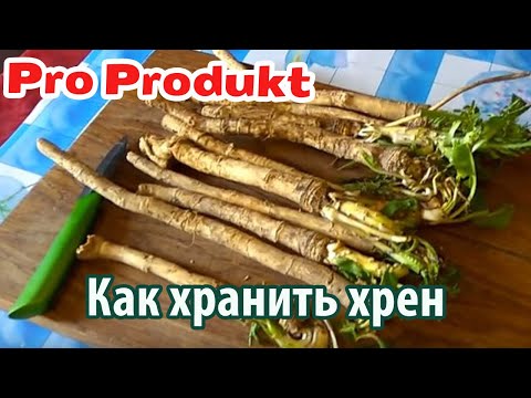 Видео: Как хранить хрен