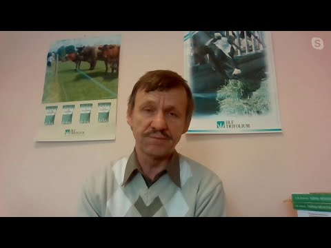 Видео: Секреты кормления коров: не угробьте печень жирами, при нехватке глюкозы надо крахмал, не сахар и др