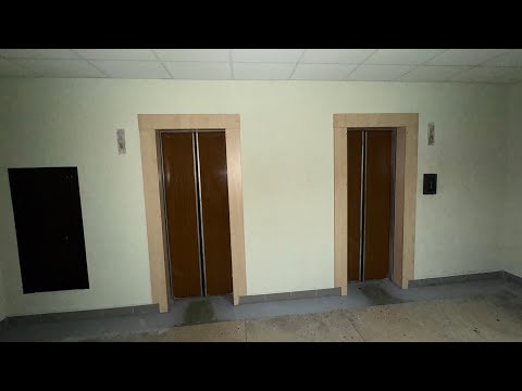 Видео: Лифты ЩЛЗ ~1987 г. в. с новыми купе V=1 м/с Q=500 кг @ Админ. здание, Пр-т Независимости, 95 к1