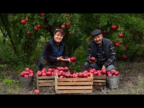 Видео: Осенний Яблочный Пирог из Свежих Яблок 🍎🥧