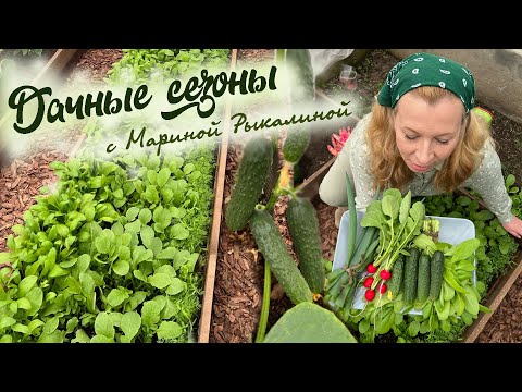 Видео: Дачные сезоны с Мариной Рыкалиной от 27 апреля 2023 года