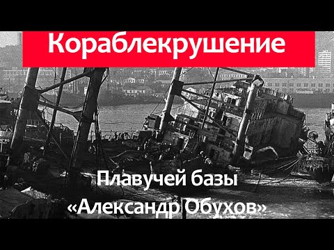 Видео: Кораблекрушение рыбконсервной плавучей базы Александр Обухов