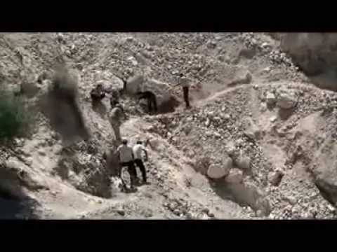 Видео: Зарыл ишин болбосо зардалыда емне бар