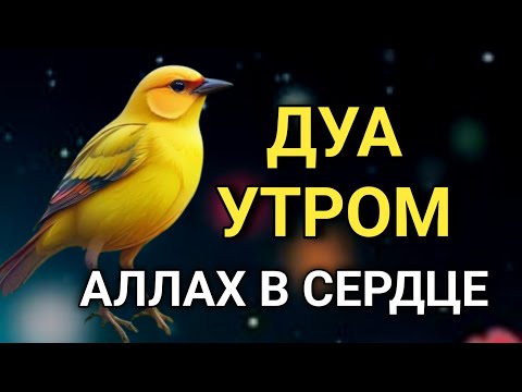 Видео: ДУА УТРОМ САМЫЙ МОЩНЫЙ СТАРТ ДНЯ! 🤲🔑🤲