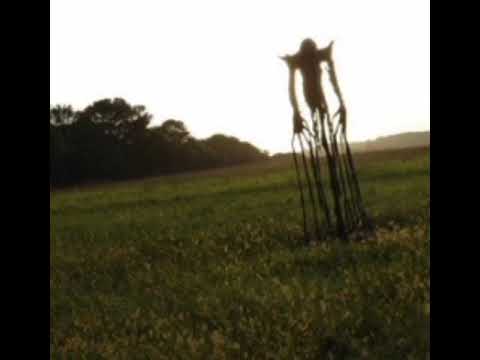 Видео: страшная японская легенда про Кун - Кун