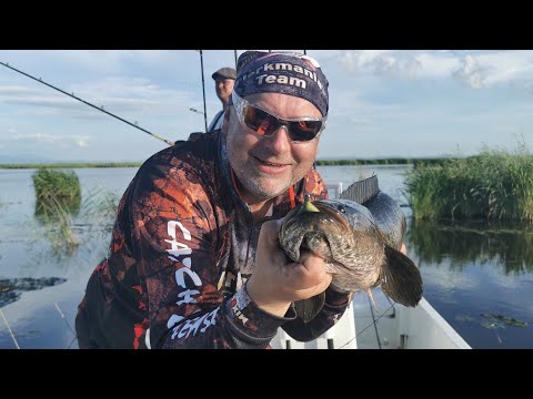 Видео: В отпуске за Змееголовом! Охота на охотника!