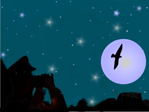 Видео: ПОГРАНИЧНЫЙ ПЕРЕВАЛ