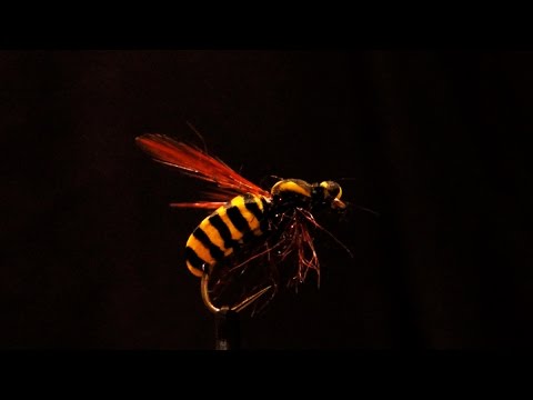Видео: Оса. Foam Wasp