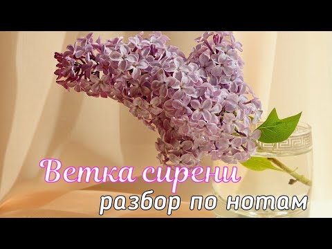 Видео: Валерий Залкин - Одинокая ветка сирени /разбор по нотам на баяне