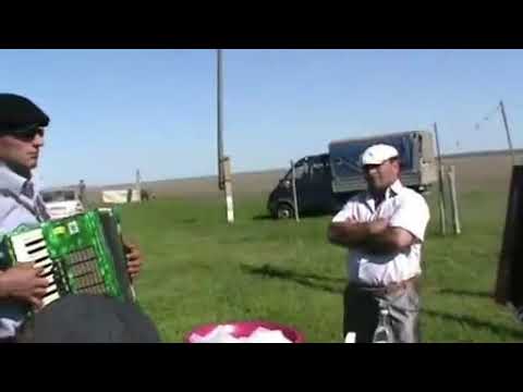 Видео: Усиша зилмук