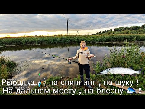 Видео: Рыбалка 🎣 на спиннинг , на щуку 🐟! На дальнем мосту , на блесну 🐟, вечером.